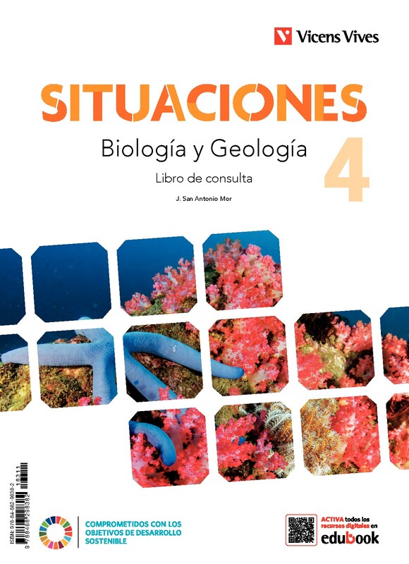 Situaciones 4